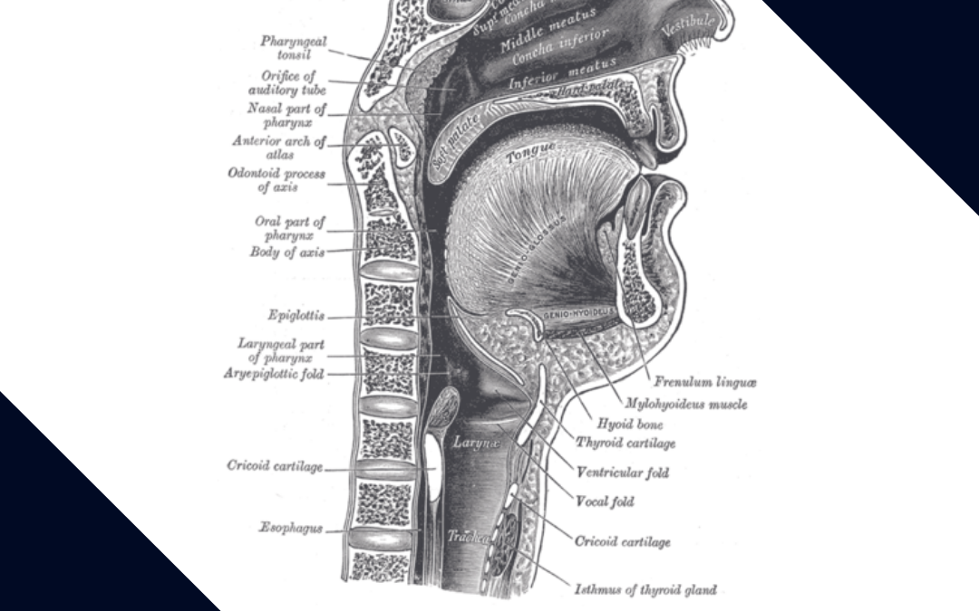 Is Your Airway Affecting Your Health?